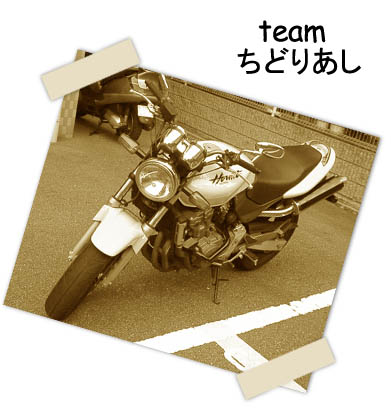 Team ちどりあし タイトル画像